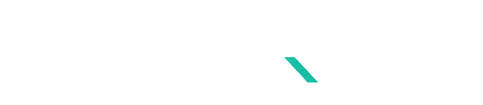 Naviqon